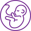 Blastocyst Culture